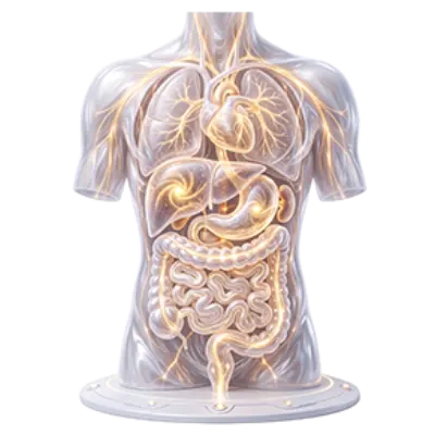 Comprehensive body cleansing program